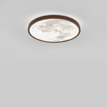Lampe de Plafond Élégante en Bois - Design Minimaliste et Éclairage Accueillant