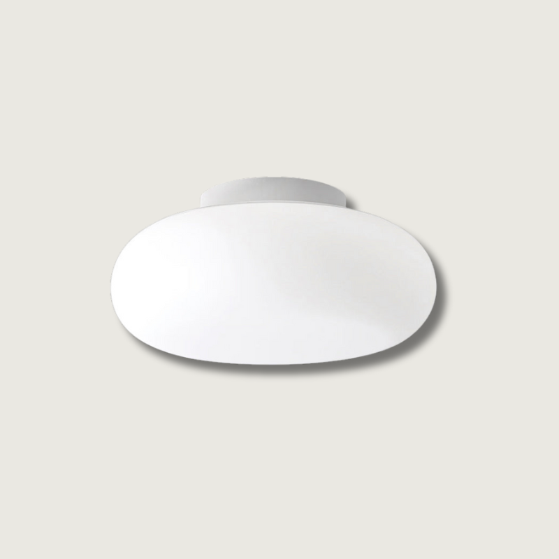 Plafonnier LED Moderne pour Intérieur - Éclairage Élégant et Économe en Énergie