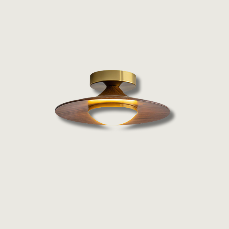 Luminaires de Plafond Modernes - Élégance et Design Compact