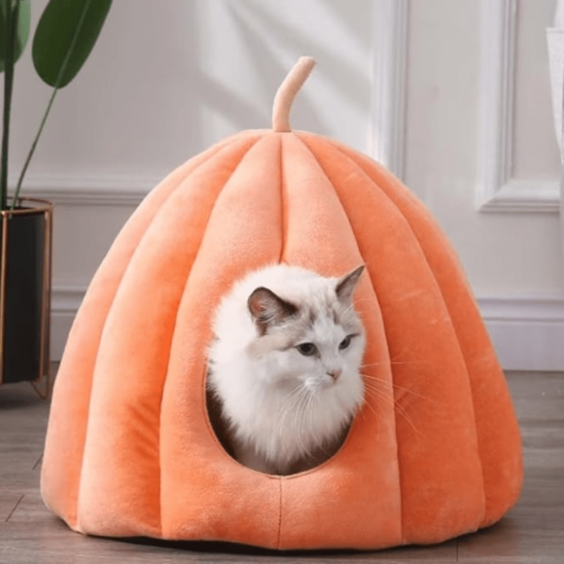 Lit pour Chat Citrouille - Confort Douillet et Hygiène Hivernale