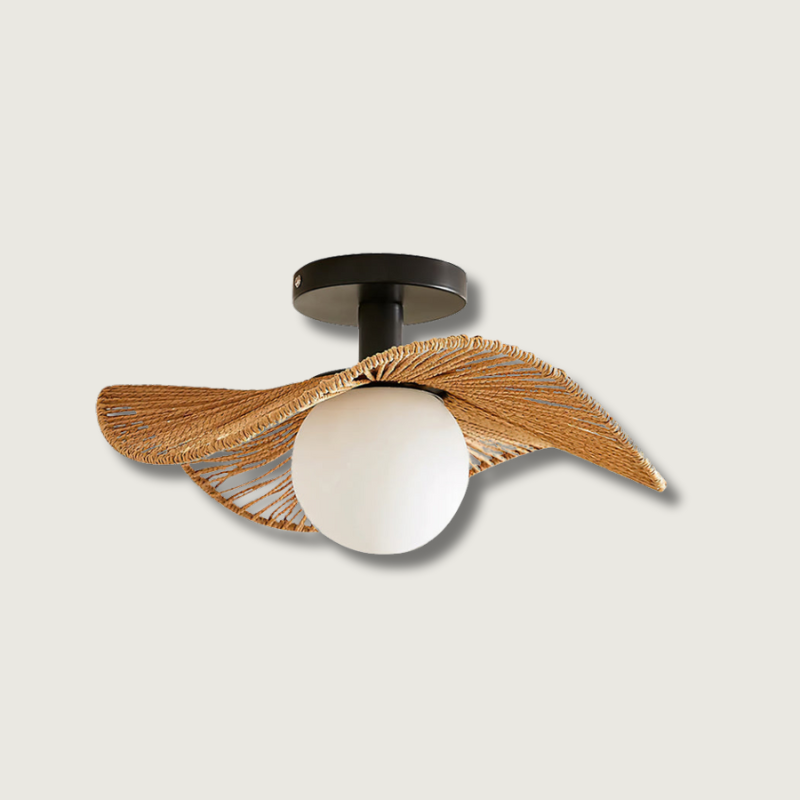 Lampe de Plafond Ambiante Moderne - Éclairage Élégant et Personnalisable
