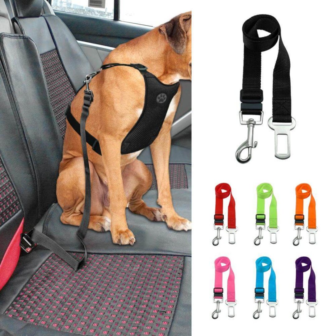 Ceinture de Sécurité pour Chien - Ajustement Réglable et Sécurisé en Voiture