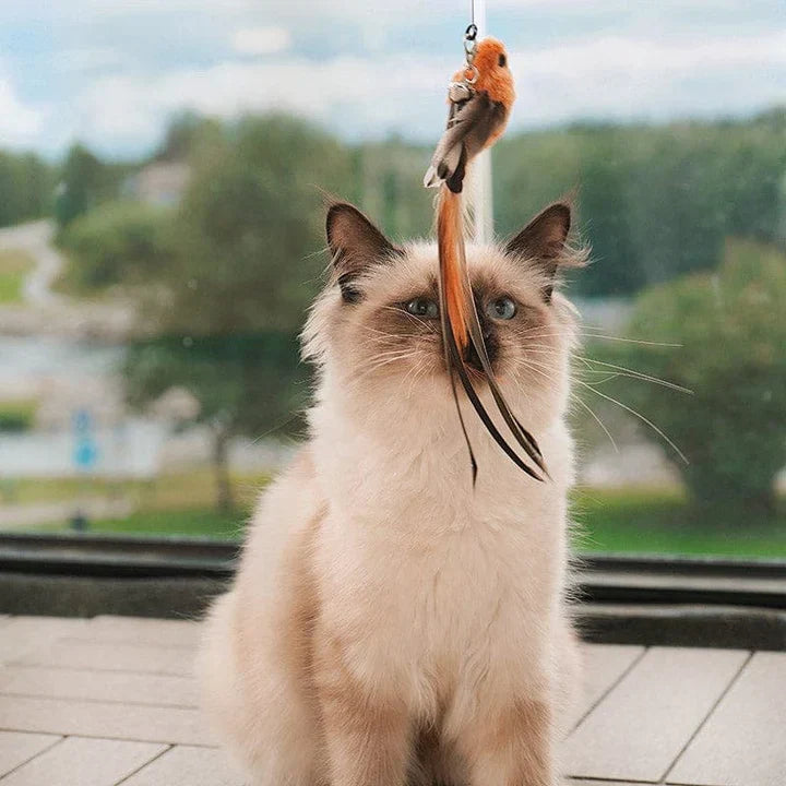 Jouet Interactif pour Chats - Mouvements Réalistes et Sûrs