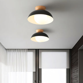 Lampe Suspendue Écologique - Élégance et Économie d'Énergie