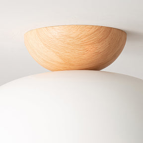 Lampe Suspendue Écologique - Élégance et Économie d'Énergie