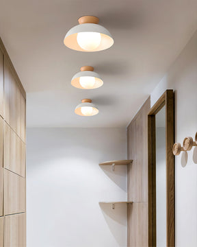 Lampe Suspendue Écologique - Élégance et Économie d'Énergie