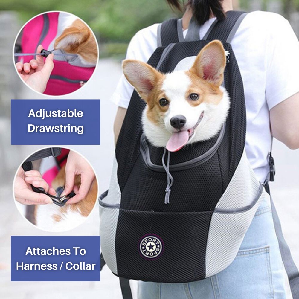 Sac à Dos pour Chien Ajustable - Maille Respirante et Rangement Pratique