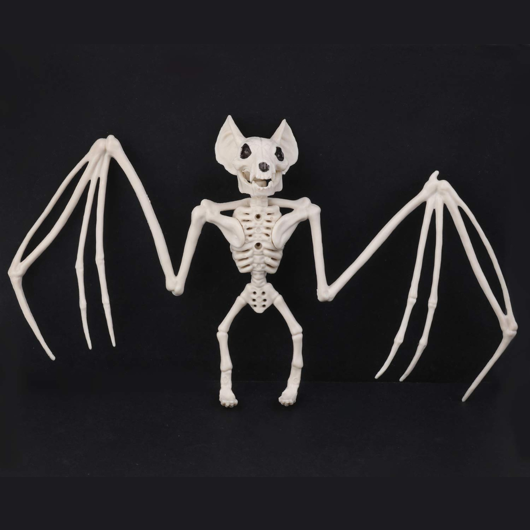 Décoration Murale Gothique Halloween - Squelette Chauve-souris Réutilisable et Durable