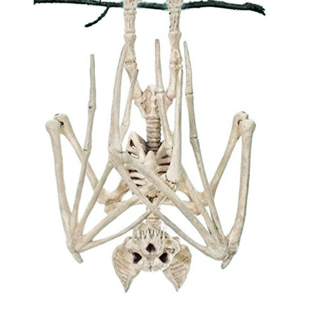 Décoration Murale Gothique Halloween - Squelette Chauve-souris Réutilisable et Durable