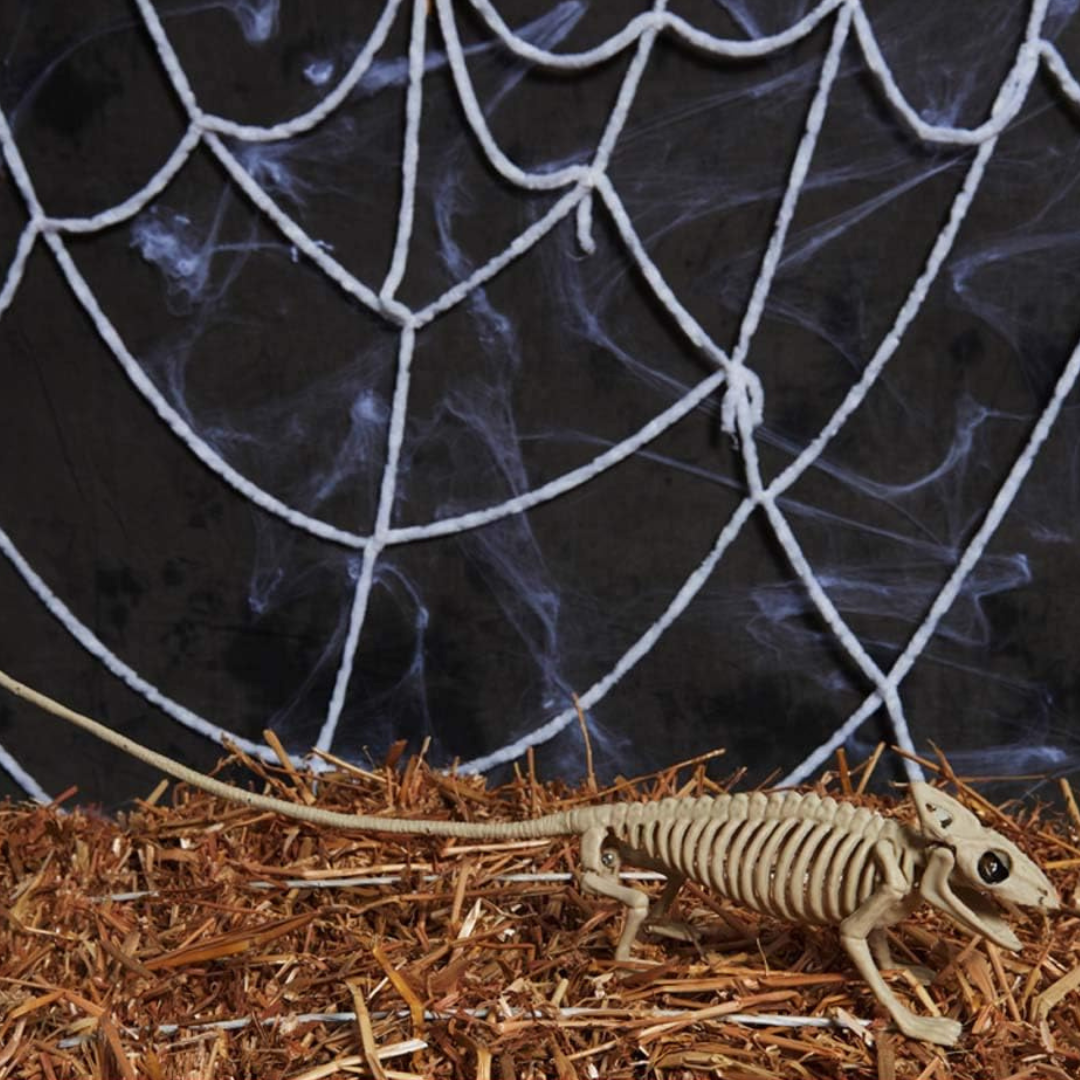 Décoration Murale Gothique Halloween - Squelette Chauve-souris Réutilisable et Durable