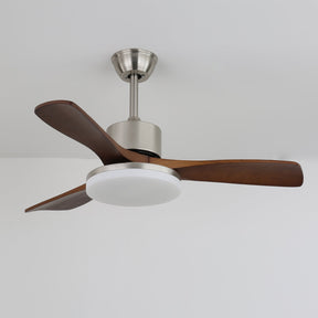 Ventilateur de Plafond en Bois - Élégance Naturelle et Éclairage Doux