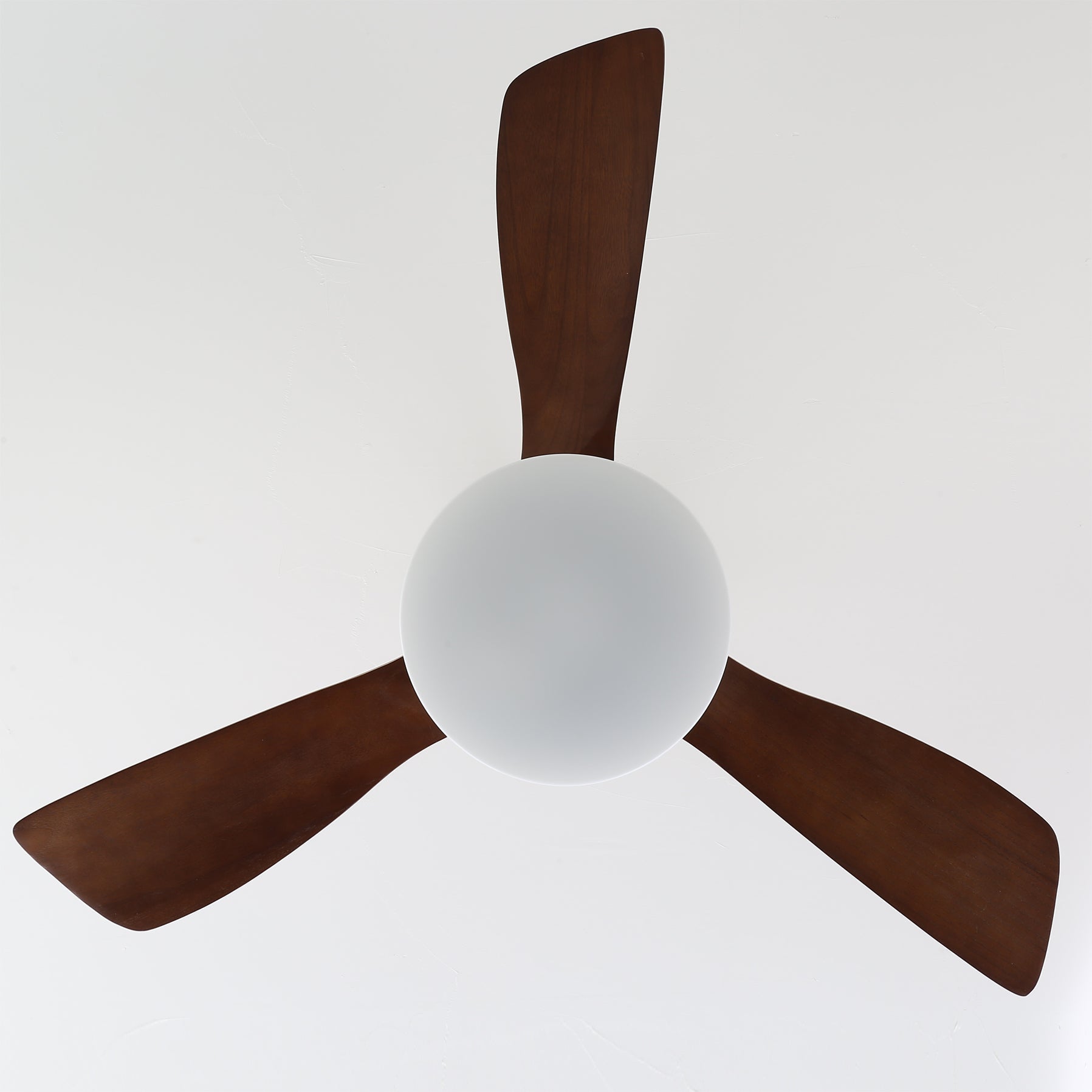 Ventilateur de Plafond en Bois - Élégance Naturelle et Éclairage Doux