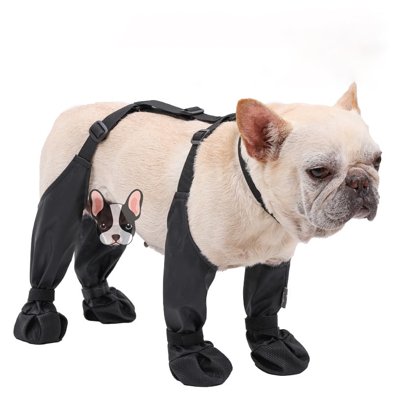 Bottes Impermeables pour Chiens - Protection Confortable par Tous les Temps