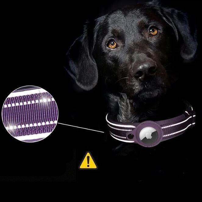 Collier Porte-AirTag Sécurisé - Suivi Fiable pour Objets de Valeur