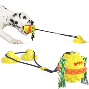 Jouet Interactif pour Chien - Durable avec Barres à Mâcher et Balles Roulantes