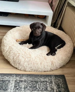 Lit Orthopédique pour Chien - Confort Doux et Hypoallergénique