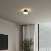 Applique de Plafond LED Élégante - Éclairage Efficace et Design Moderne