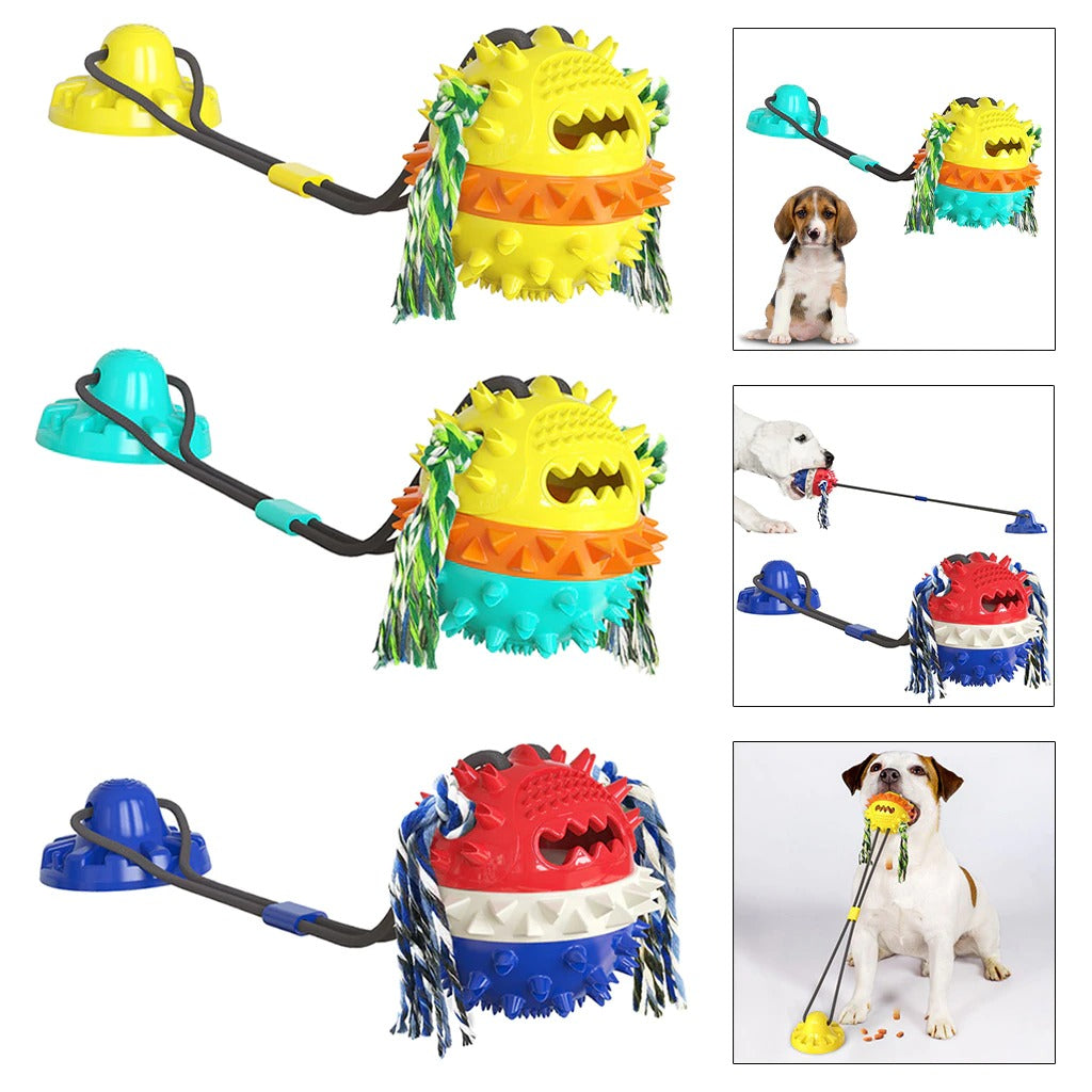 Jouet Interactif pour Chien - Durable avec Barres à Mâcher et Balles Roulantes