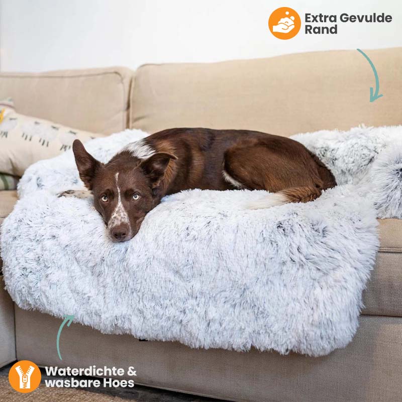 Protecteur de Lit pour Chien - Imperméable et Doux avec Antidérapant