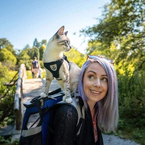 Harnais Réfléchissant pour Chats - Sécurité et Confort lors des Promenades Nocturnes