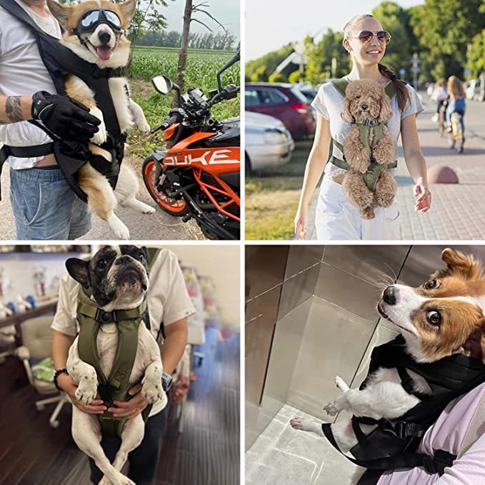 Sac à Dos de Transport pour Chien - Confort et Liberté de Mouvement