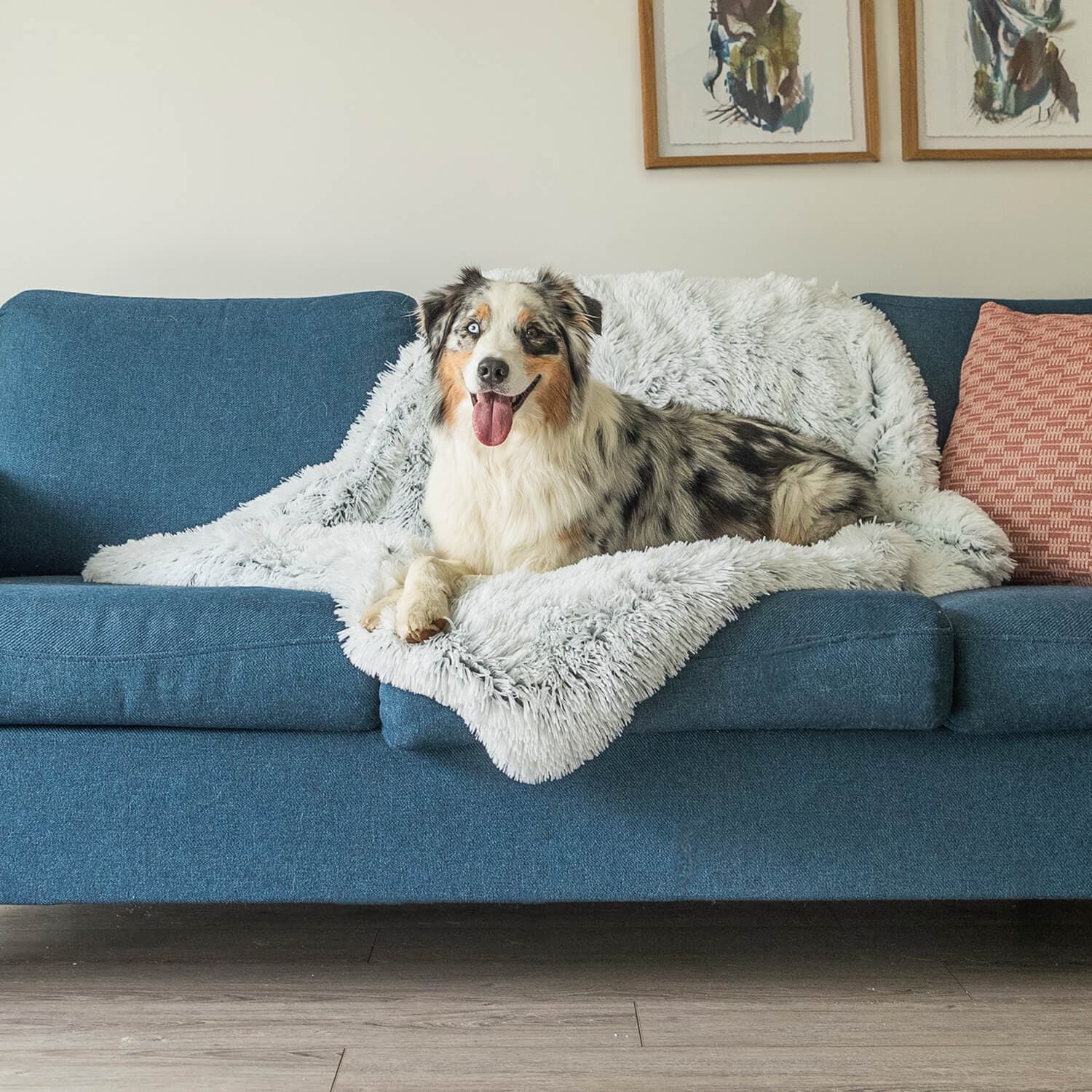 Couverture Apaisante pour Chien - Tissu Doux et Lavable en Machine