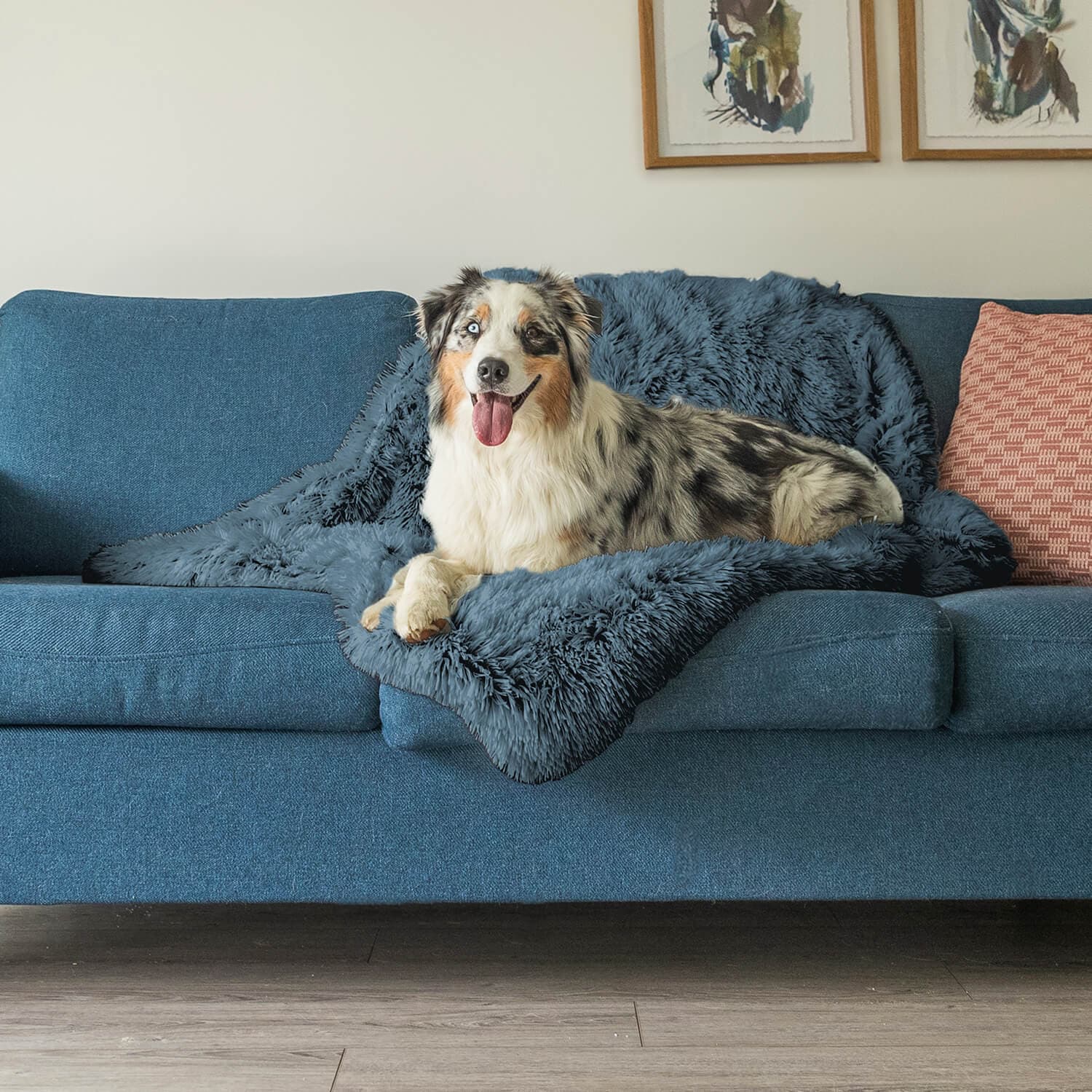 Couverture Apaisante pour Chien - Tissu Doux et Lavable en Machine