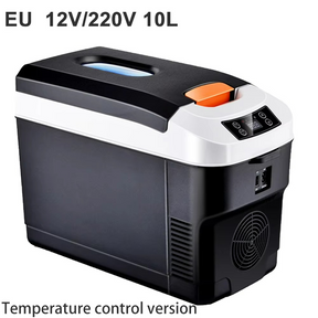 Réfrigérateur Portable Électrique 10L - Double Tension et Design Élégant