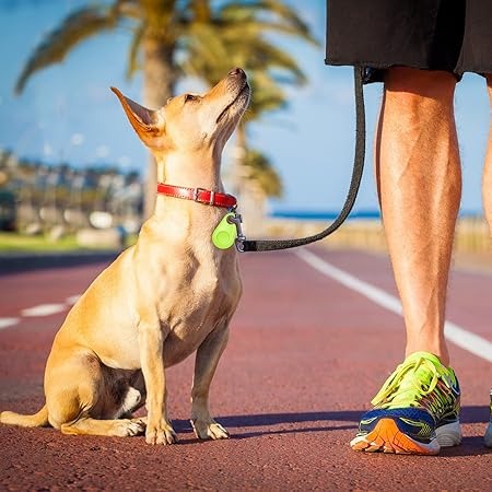 Traceur GPS pour Animaux de Compagnie - Suivi en Temps Réel et Léger