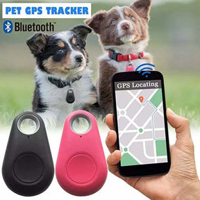 Traceur GPS pour Animaux de Compagnie - Suivi en Temps Réel et Léger