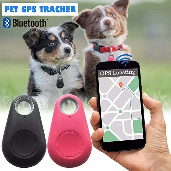 Traceur GPS pour Animaux de Compagnie - Suivi en Temps Réel et Léger