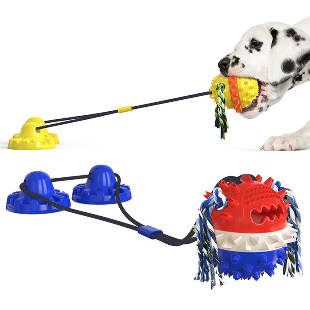 Jouet Interactif pour Chien - Durable avec Barres à Mâcher et Balles Roulantes