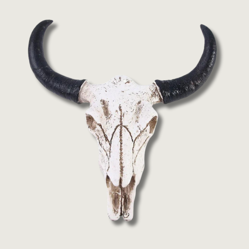 Crâne de Vache Longhorn Décoratif - Cornes Réalistes et Élégance Naturelle