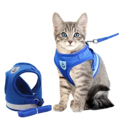 Harnais Réfléchissant pour Chats - Sécurité et Confort lors des Promenades Nocturnes