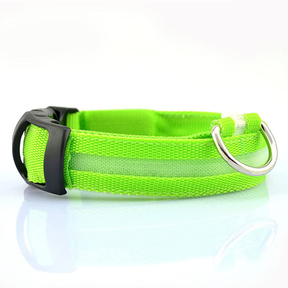 Collier Lumineux pour Animaux - LED Rechargeable, Résistant à l'Eau