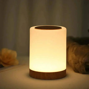 Lampe Portable Tactile LED - Éclairage Ambiance Compact et Pratique