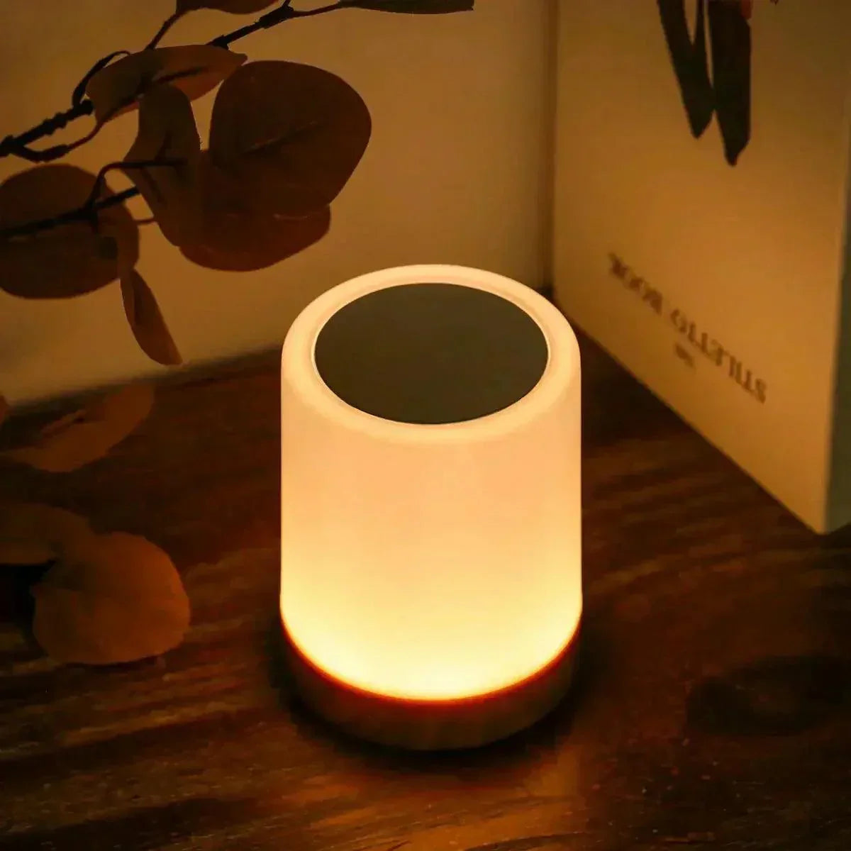 Lampe Portable Tactile LED - Éclairage Ambiance Compact et Pratique
