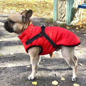 Manteau Imperméable pour Chien - Harnais Intégré et Confort Optimal