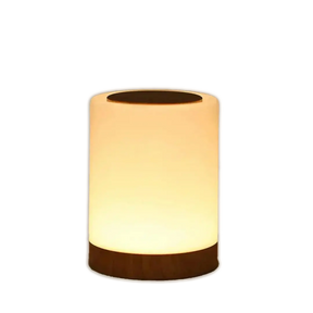Lampe Portable Tactile LED - Éclairage Ambiance Compact et Pratique
