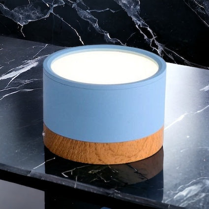 Spot LED Plafond Économe en Énergie - Design Élégant et Fonction Dimmable