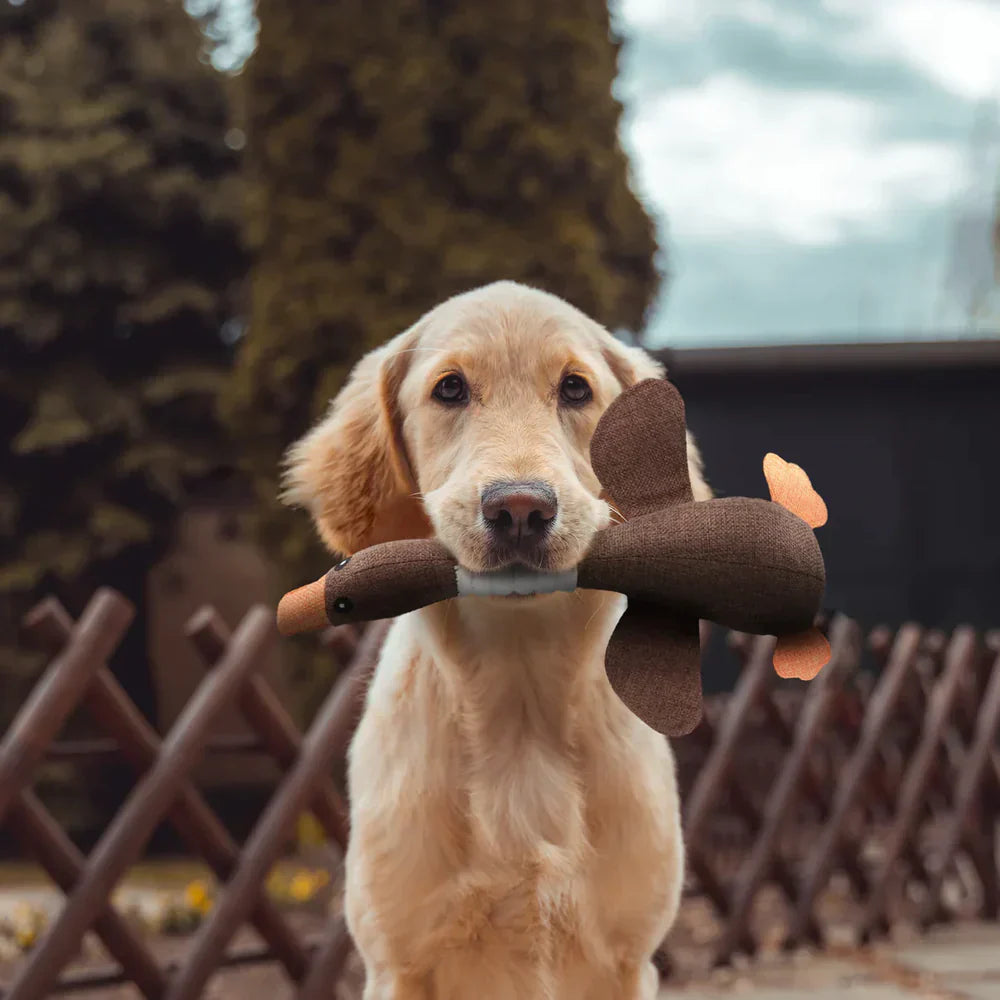 Jouet en Canard Durable pour Animaux - Amusement Sûr et Mastiquer Résistant
