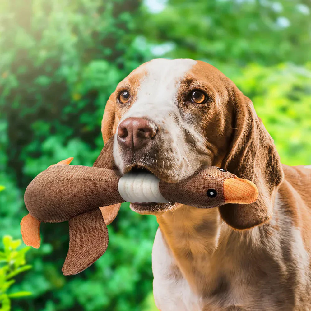 Jouet en Canard Durable pour Animaux - Amusement Sûr et Mastiquer Résistant