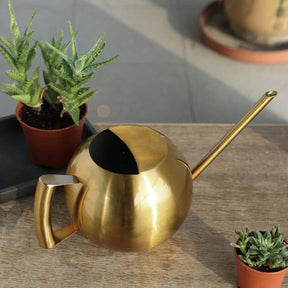 Arrosoir en Métal pour Plantes d'Intérieur - Écoulement Précis et Design Élégant