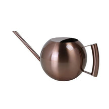 Arrosoir en Métal pour Plantes d'Intérieur - Écoulement Précis et Design Élégant