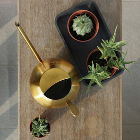 Arrosoir en Métal pour Plantes d'Intérieur - Écoulement Précis et Design Élégant