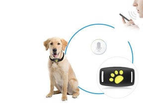 Suivi GPS pour Chat - Localisation en Temps Réel et Fiable