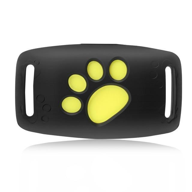 Suivi GPS pour Chat - Localisation en Temps Réel et Fiable