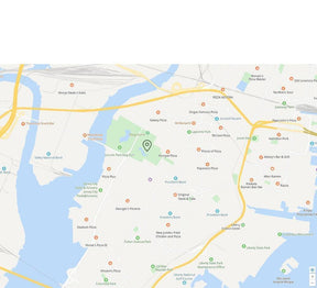 Suivi GPS pour Chat - Localisation en Temps Réel et Fiable
