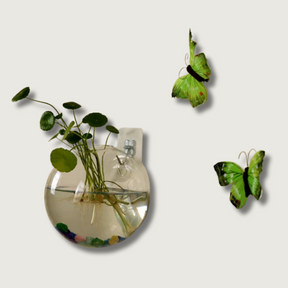 Vase Flottant en Verre - Décoration Hydroponique Élégante et Unique