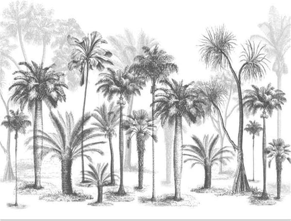 Papier Peint Jungle Noir et Blanc